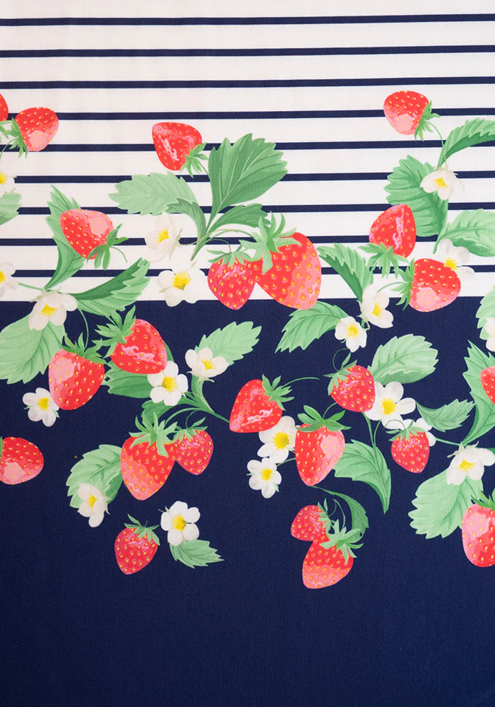 Calista Strawberries & Stripe Print Midi Dress - Image 2