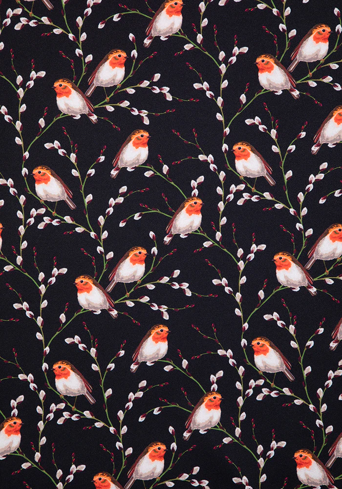 Robin Print Dress - Image 2